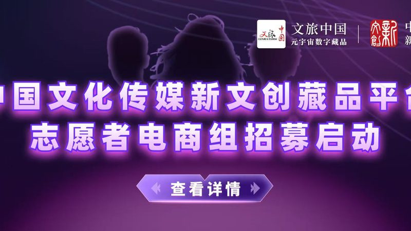 杭州服装短视频代运营报价到底差在哪